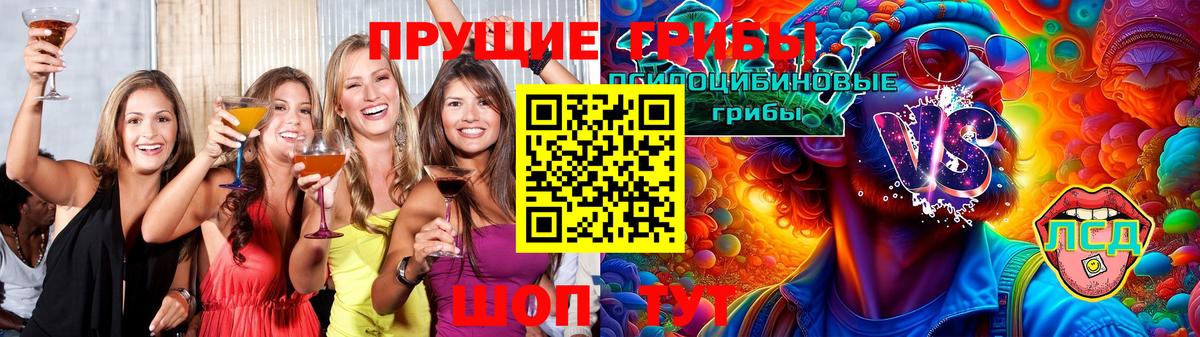 Ессентуки  Галлюциногенные грибы Cubensis  Вход с VPN 