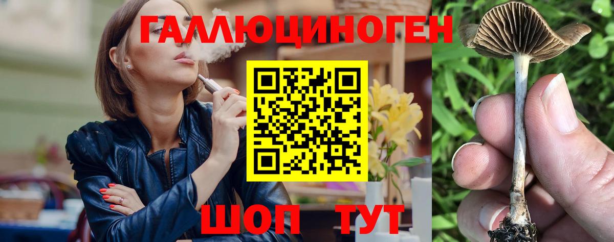 Псилоцибиновые грибы Cubensis Ессентуки